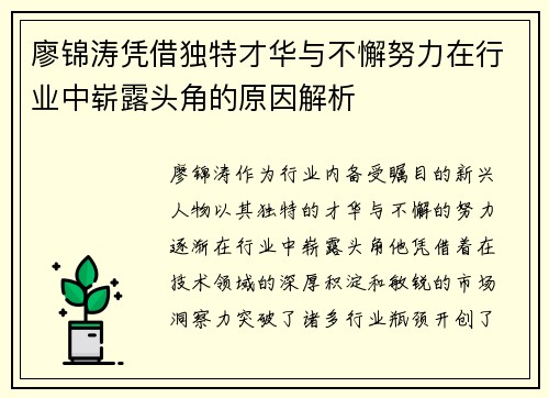 廖锦涛凭借独特才华与不懈努力在行业中崭露头角的原因解析