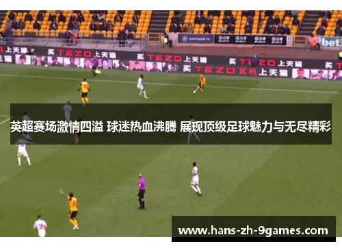 英超赛场激情四溢 球迷热血沸腾 展现顶级足球魅力与无尽精彩