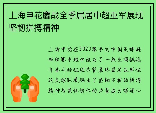 上海申花鏖战全季屈居中超亚军展现坚韧拼搏精神